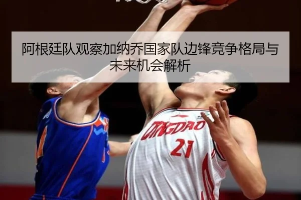 a-gen-ting-dui-guan-cha-jia-na-qiao-guo-jia-dui-bian-feng-jing-zheng-ge-ju-yu-wei-lai-ji-hui-jie-xi-2-896.jpg